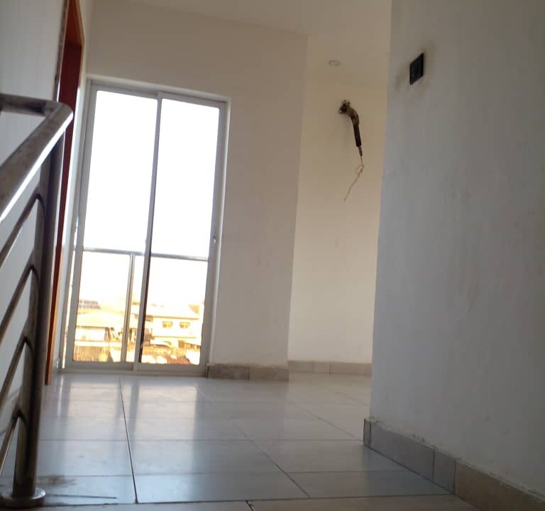 WhatsApp Image 2024-12-01 at 15.05.42 (1)