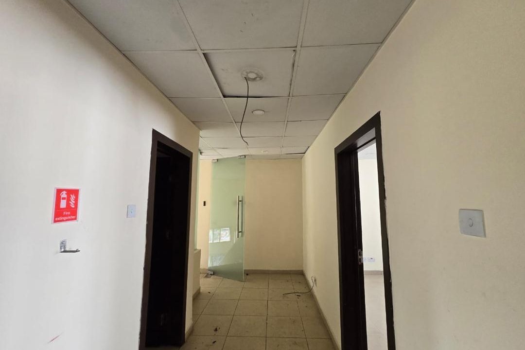 WhatsApp Image 2025-01-28 at 01.54.38 (4)